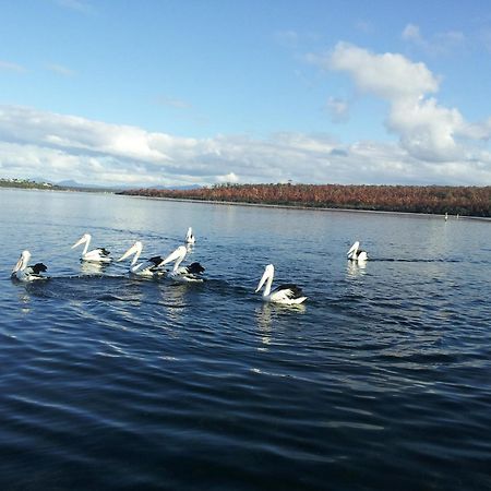 Pelican Point Sanctuary St Helens Luaran gambar