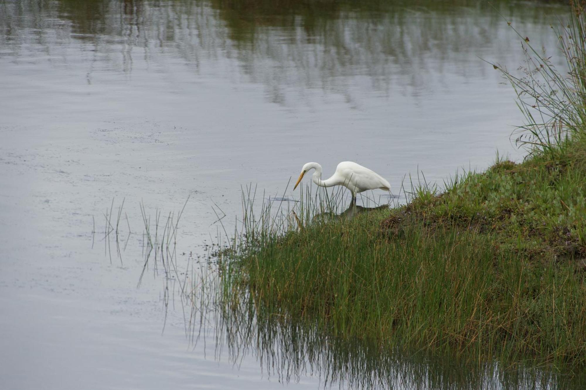 Pelican Point Sanctuary St Helens Luaran gambar