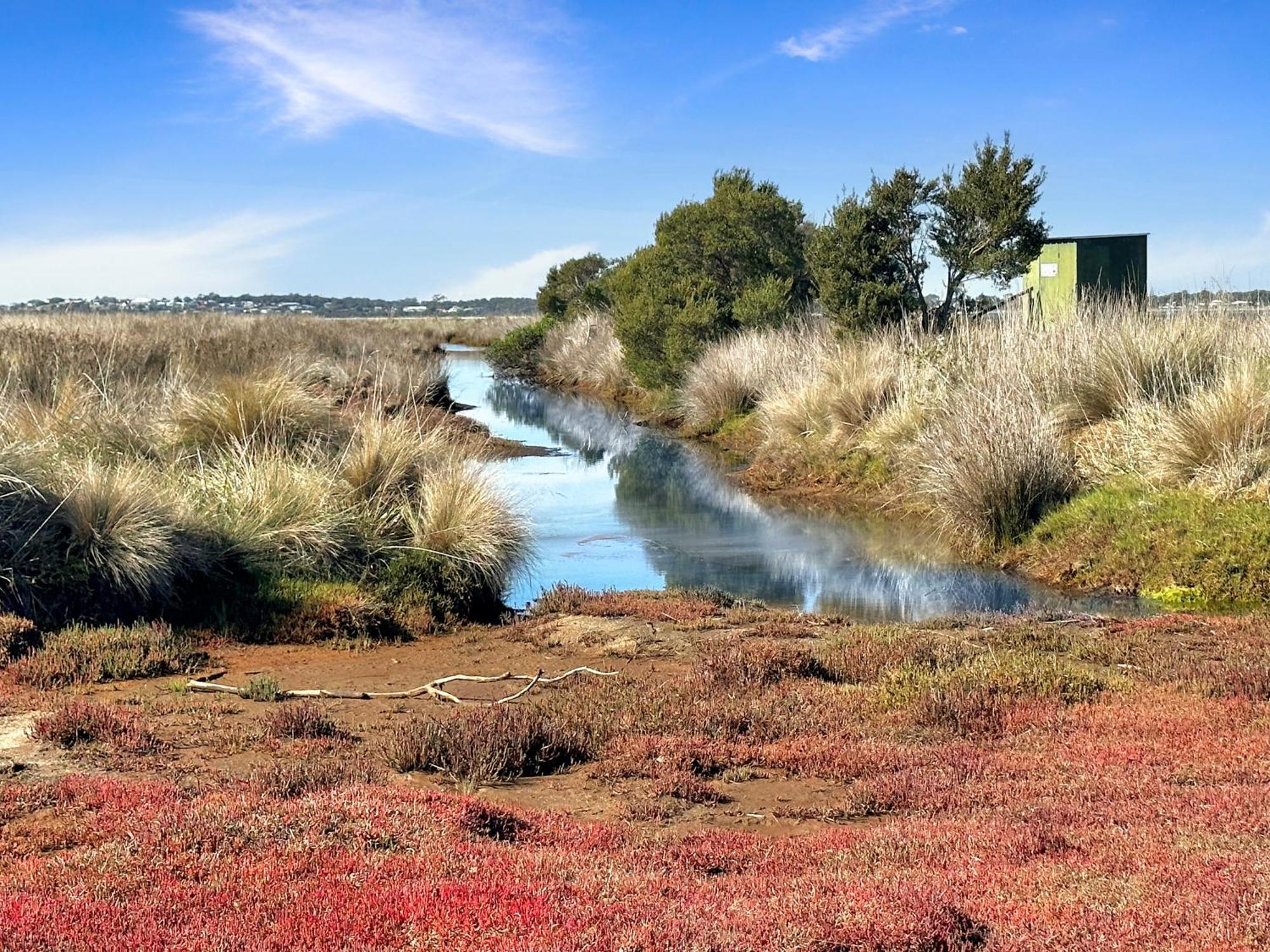 Pelican Point Sanctuary St Helens Luaran gambar